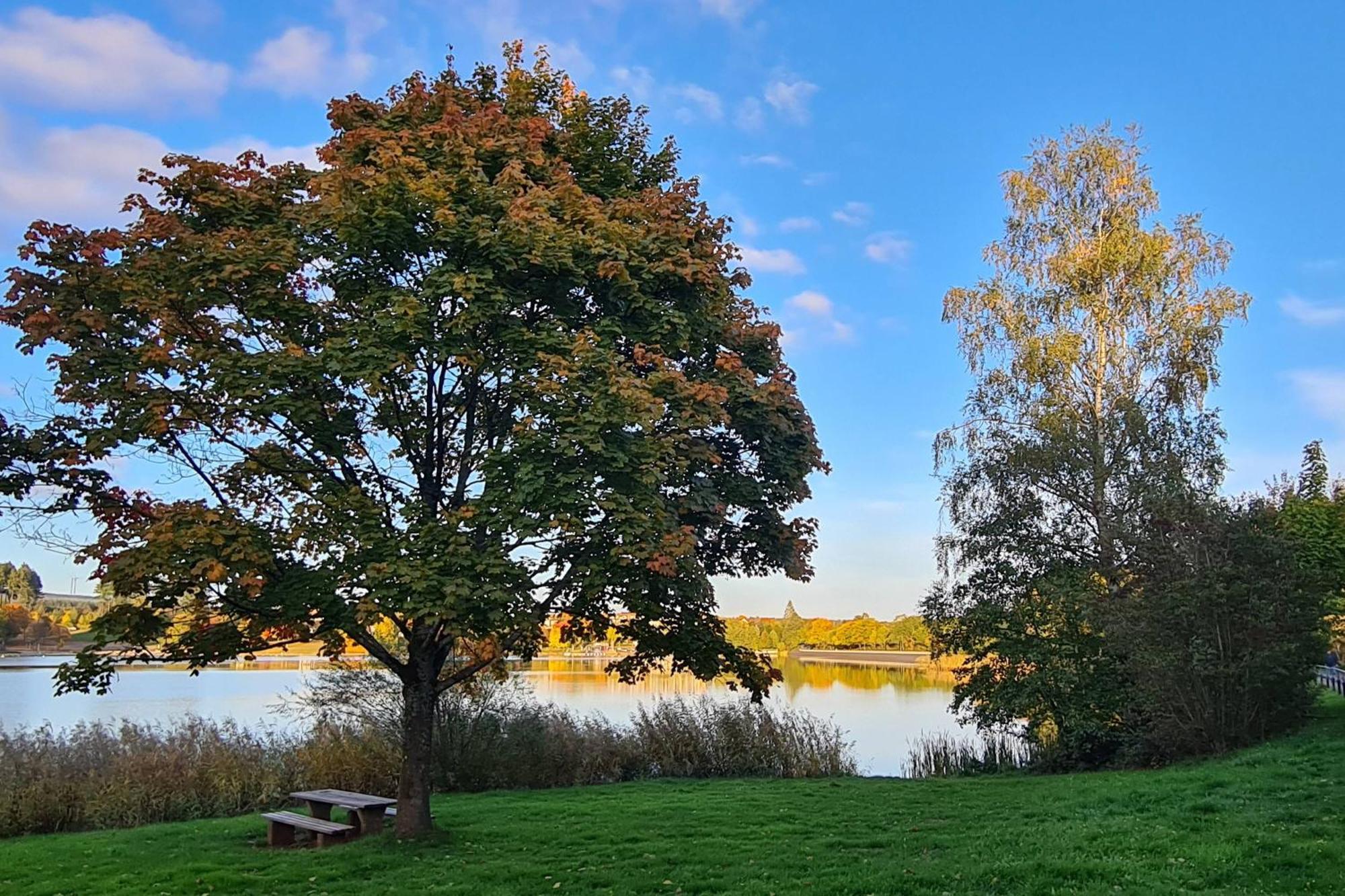 Draussen Am See Losheim Esterno foto