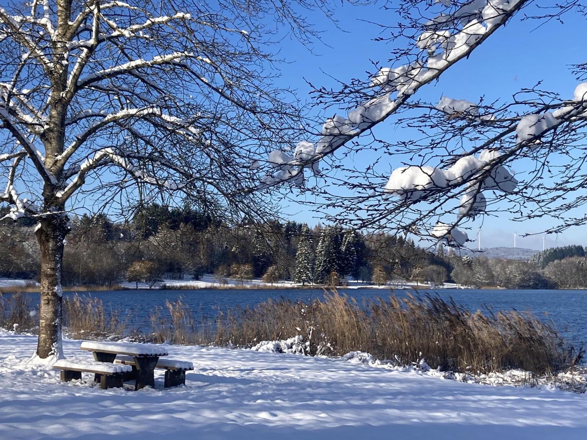 Draussen Am See Losheim Esterno foto